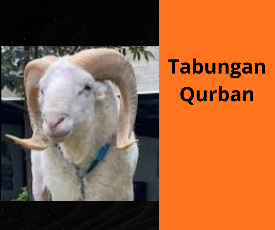 Bantu Al Fariq Sembuh dari Cerebralpalsy (lumpuh otak) (4)